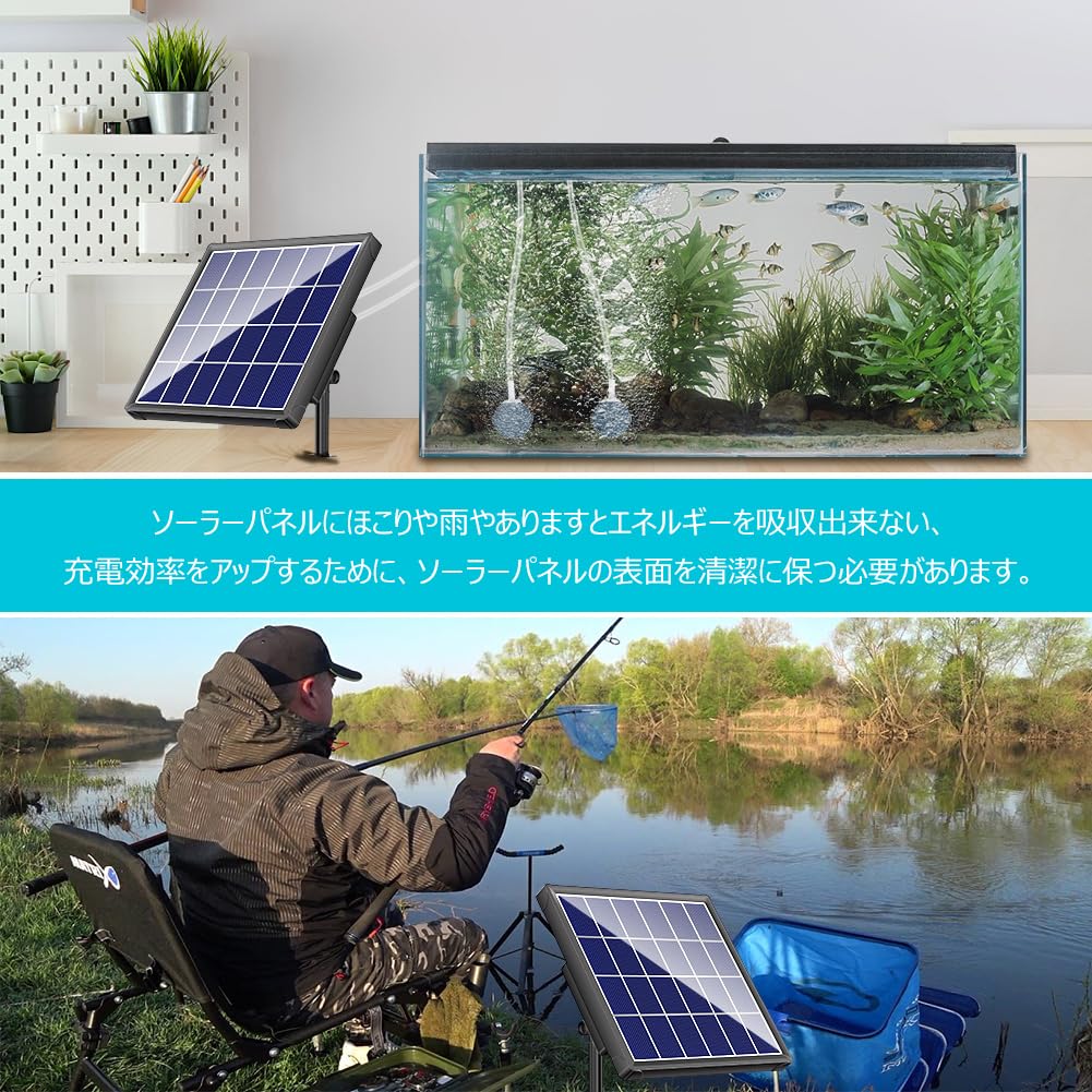ビアンカプラットフォームポンプ ZX Fury 名作を融合した最後のコラボレーションモデル！ – SONAR