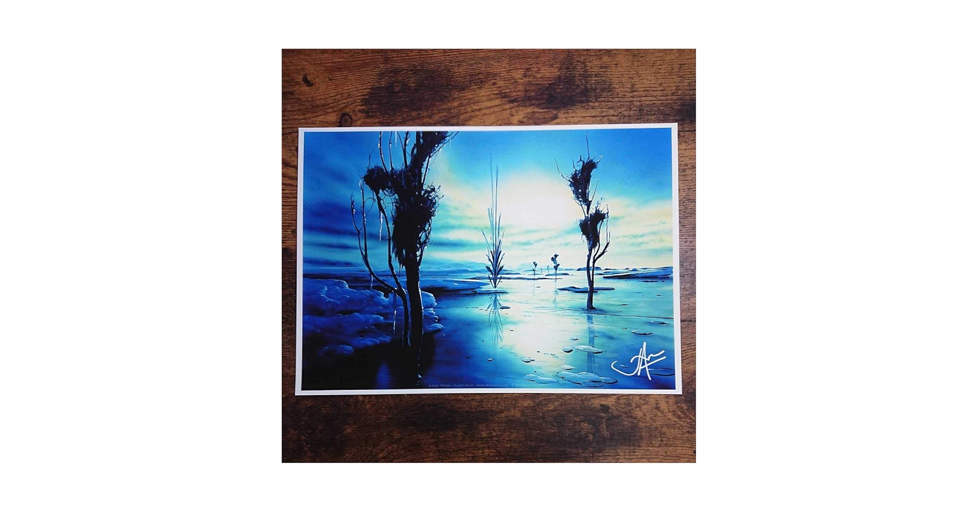 Amazon.co.jp: MTG《アダーカー荒原/Adarkar Wastes》John Avon