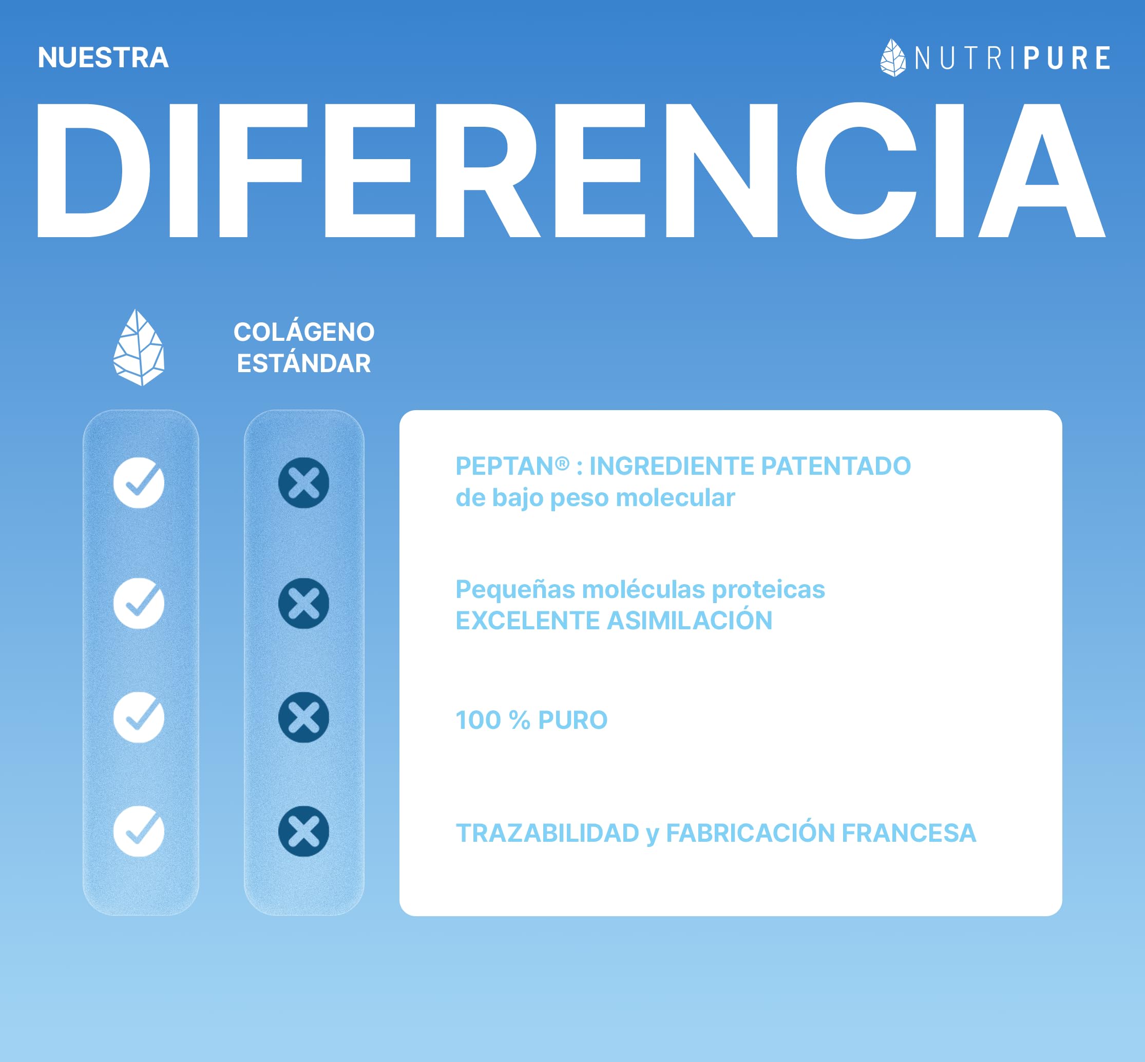 Peptidos de Colágeno Peptan | Suplemento Alimenticio Deportivo | Colágeno, Aminoácidos, Proteína | Producto Patentado | Sin OGM ni Aditivos | Bolsa de 1,2 KG | 4 Mes | Made in France | Nutripure