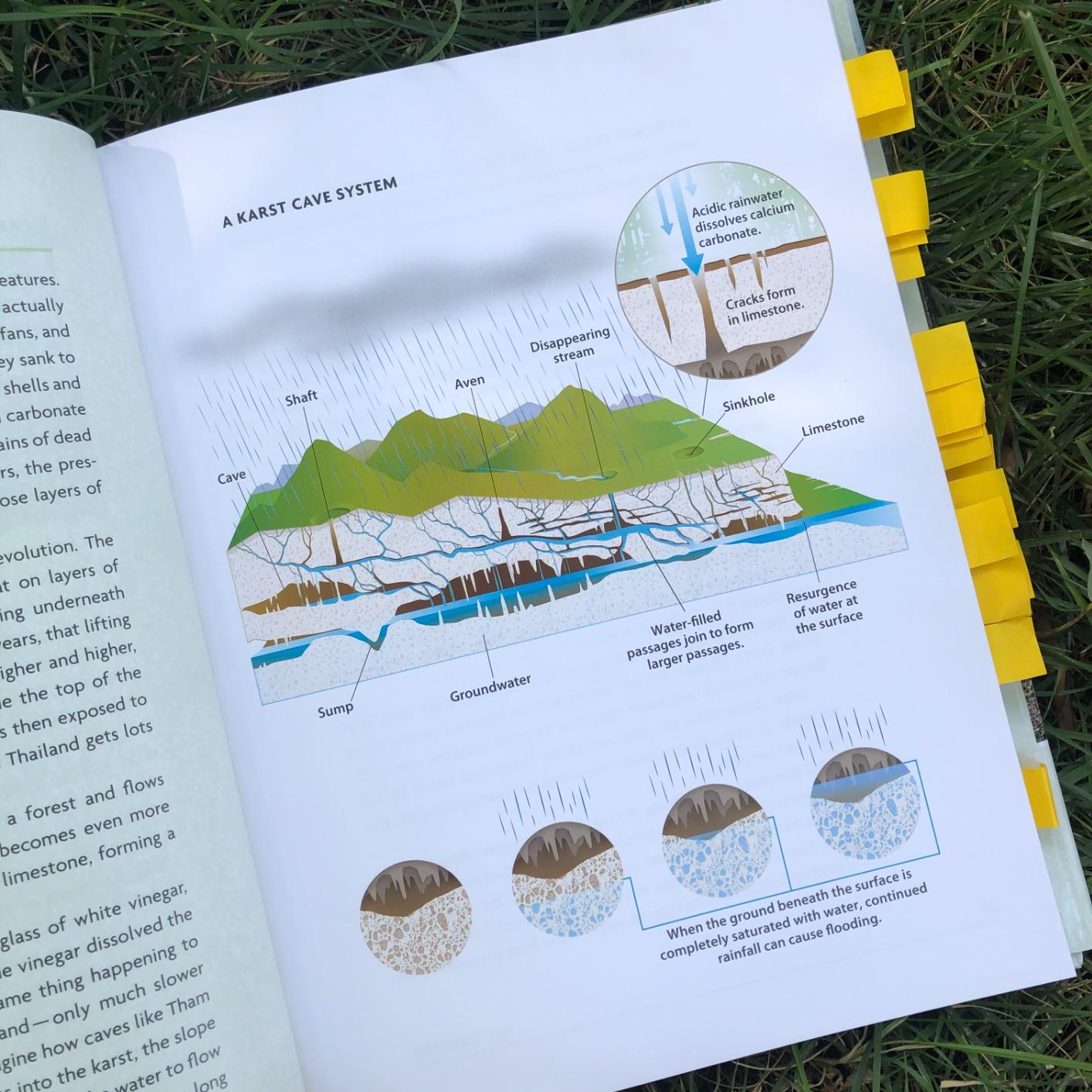 Get this into the hands of your students