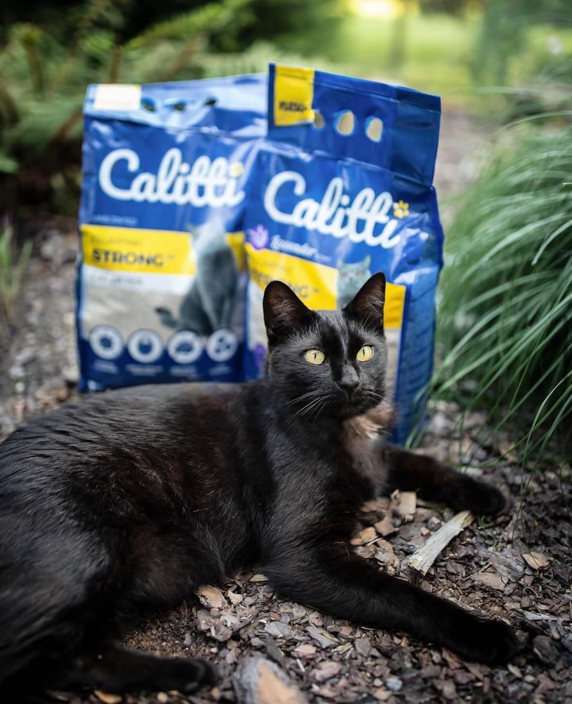 Calitti Extreme Clumping Cat Litter with Activated Charcoal - Strong Clumps, Maximum Odor Control, Low Dust, Unscented 20 lb