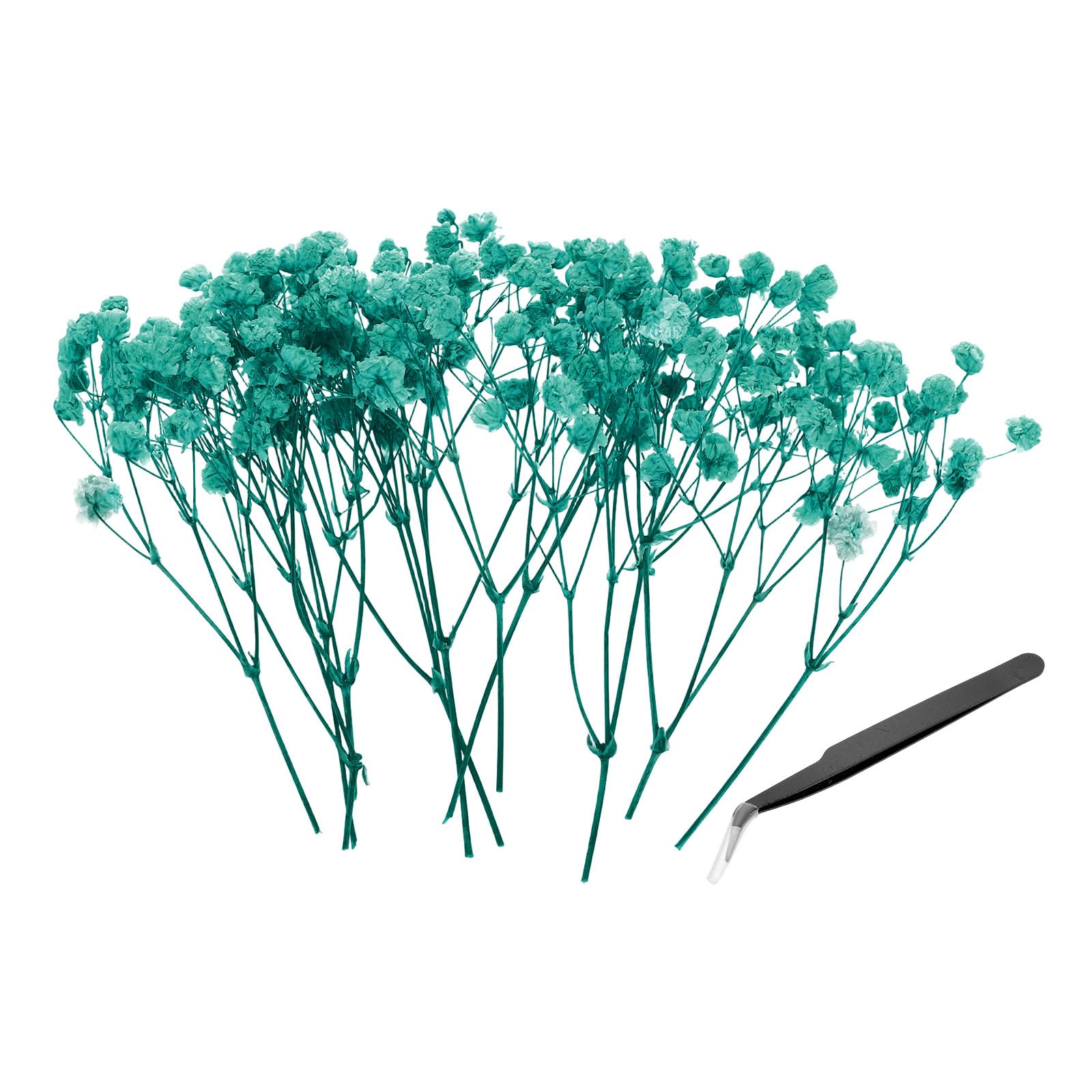 PATIKIL Mini Dried Gypsophila Flower Kit, 30Pcs 4 Inch Light Blue Natural Pressed Floral Bundles with Tweezer for DIY Resin Crafts Gift Wedding Christmas Card Decor Flower Bouquets
