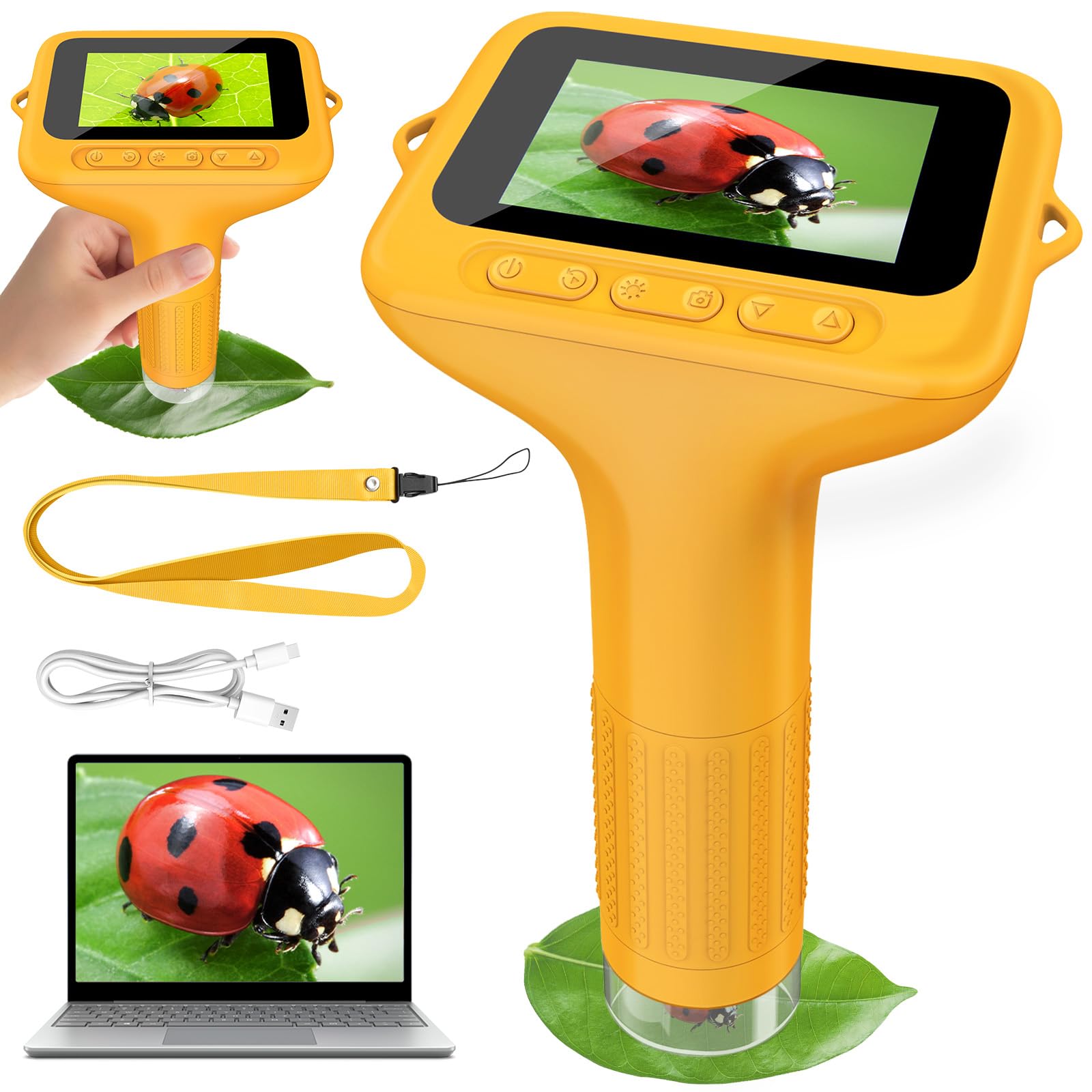Mikroskop für Kinder, Digitales Mikroskop mit 3,0