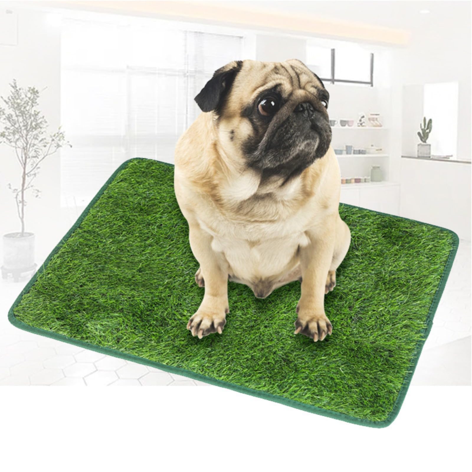 Amazon | ペット犬トイレ尿草、引き出しとポータブルバスルーム尿草