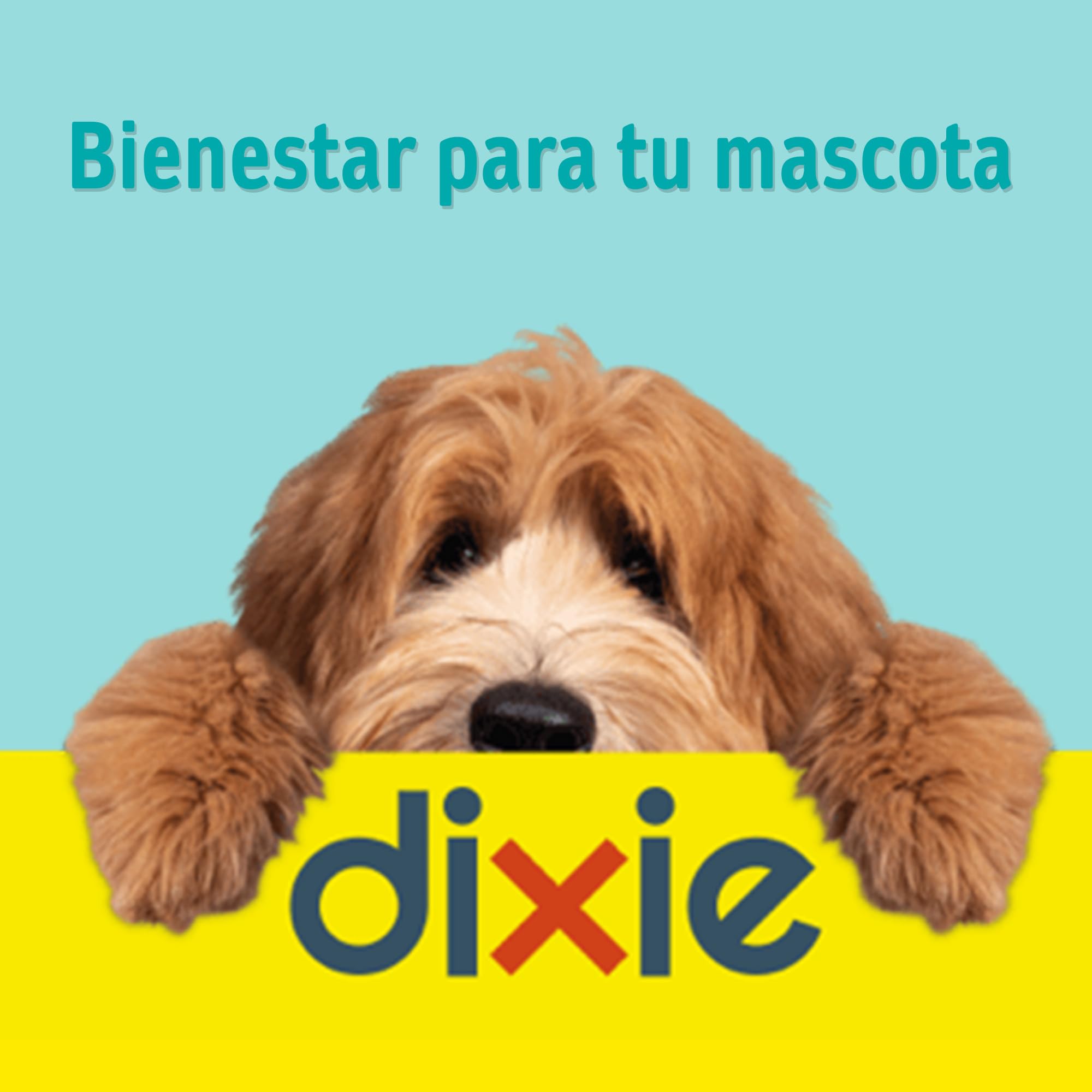 DIXIE – Collar Antipulgas para Gatos y Gatitos – Repele y Protege de Pulgas, Garrapatas y Mosquitos – Sin Insecticidas – 3 Meses de Protección Natural - 34,5 cm Ajustables para Cualquier Raza y Tamaño