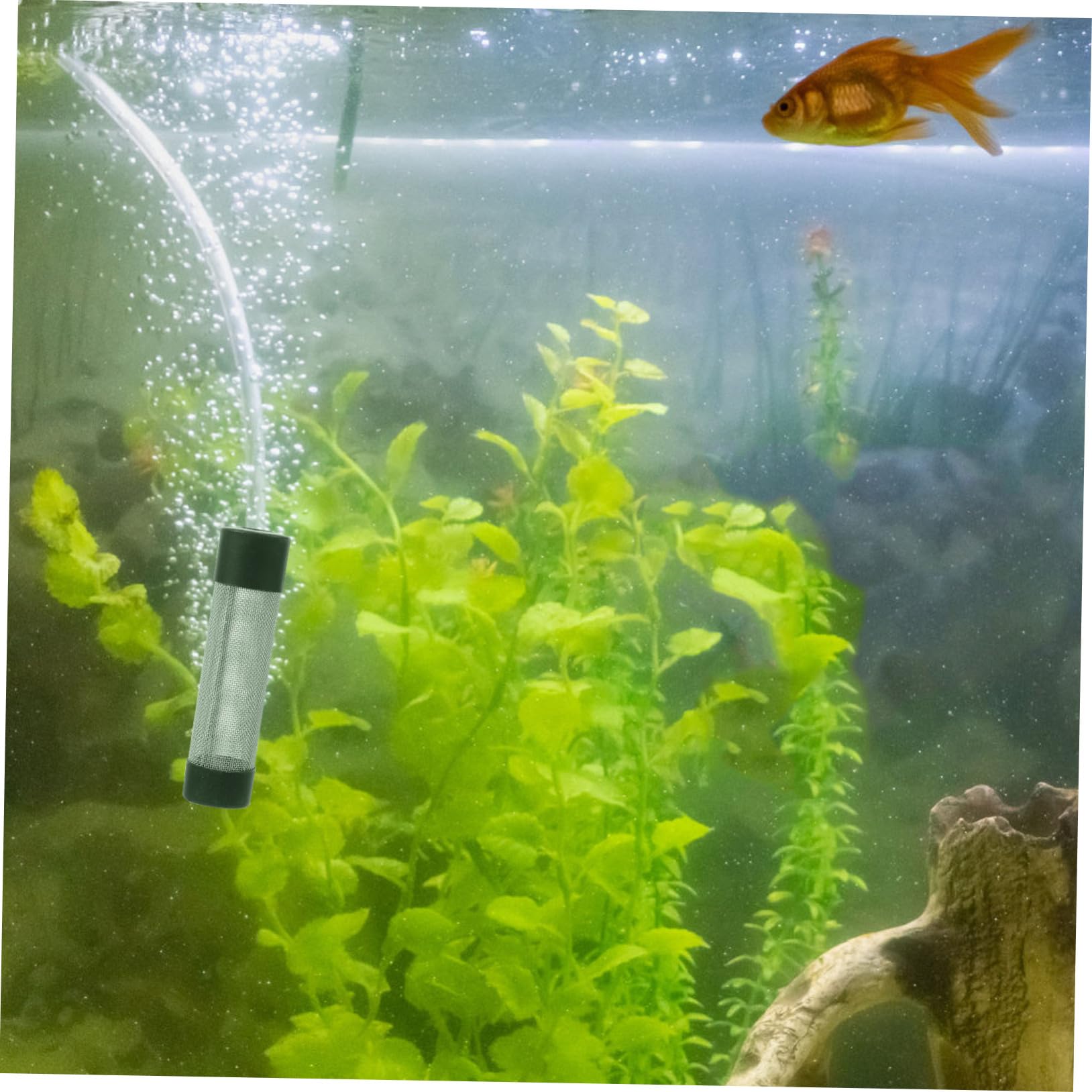 HANABASS 5stücke Metal Aquarium Filter Austauschbare Tankfilter Mit Schutzgitter Für Garnelen Und Fische Rostfreies Material Leicht Zu Reinigen Und Langlebig Für Aquarien Und