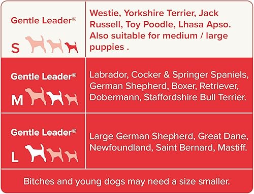 Miniatura 10 de Beaphar  Gentle Leader  Collar de cabeza para perros pequeños  Deja de tirar de la correa  Ayuda para entrenamiento con efecto inmediato  Avalado