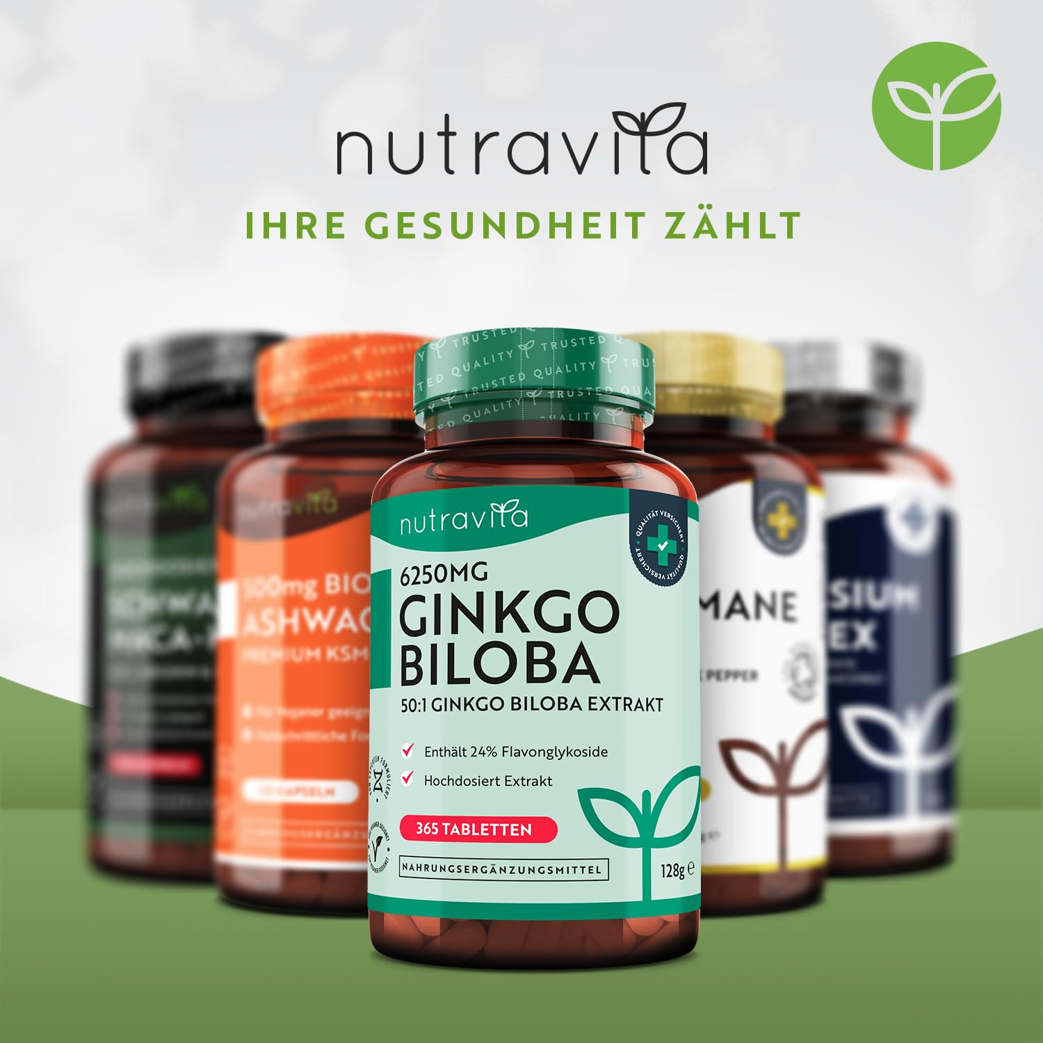 Ginkgo Biloba 6250 mg - 365 vegan Tabletten für 1 Jahr - Hochdosiert und premium Qualität Gingko - Ginko Extrakt hochkonzentriert - Extrakt 50:1 - Enthält 24% Flavonoglykoside - Nutravita