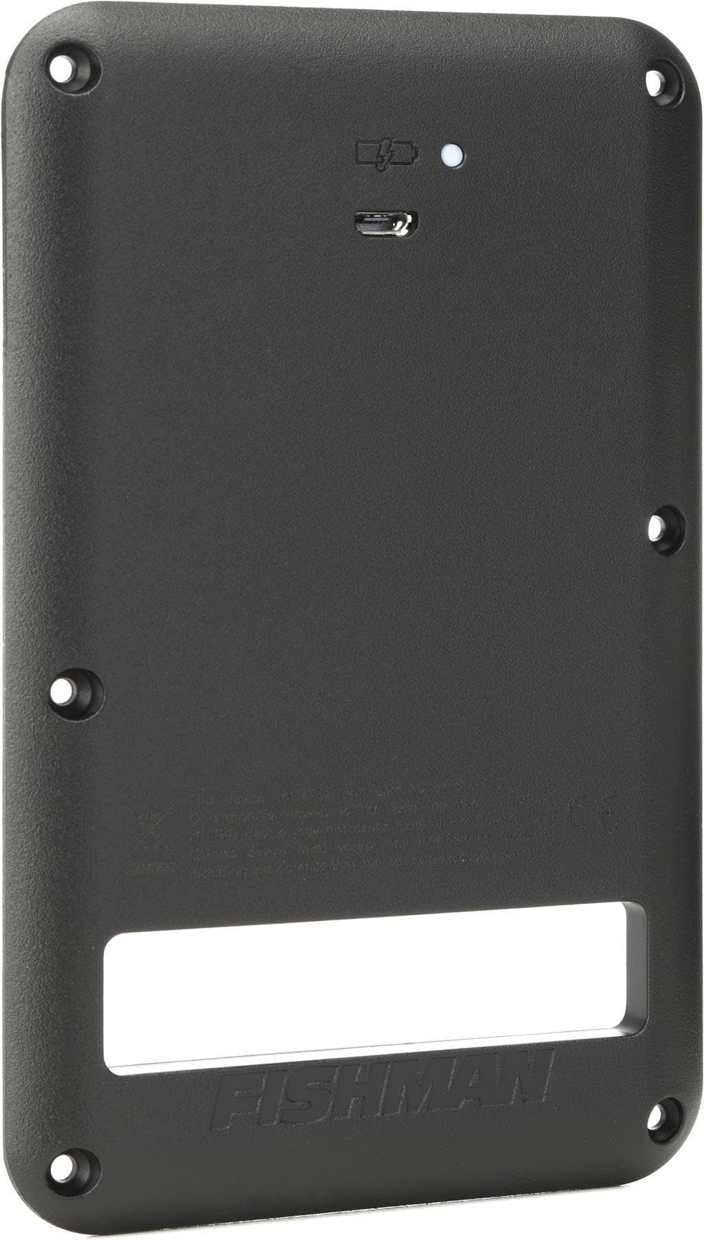 Amazon.com: Fishman Universal Rechargeable Battery Pack : Musical ...