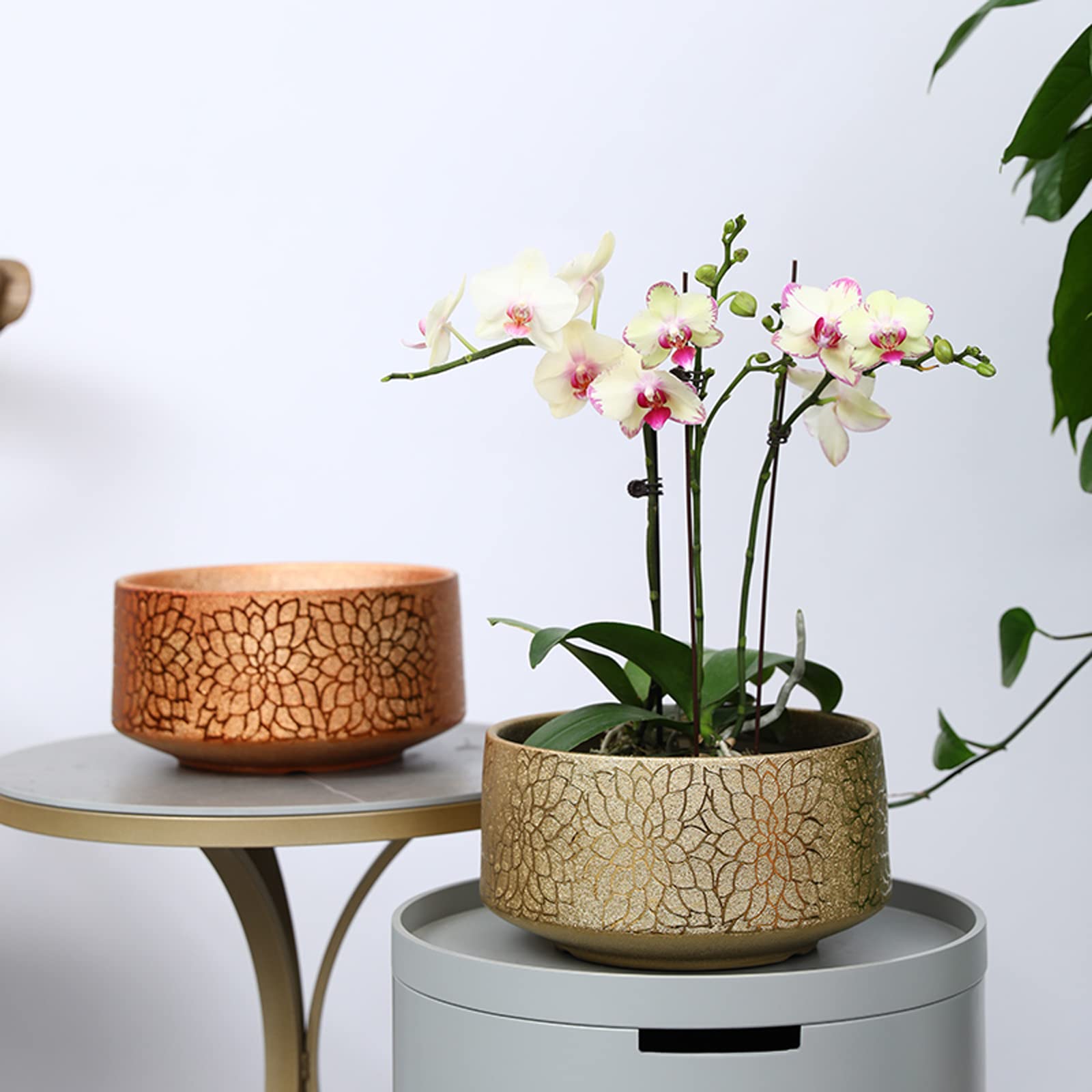 Vasi da Giardino Vaso Phalaenopsis di Lusso in Ceramica Leggera, Vaso da Fiori in Stile Cinese con Foro di drenaggio e Vassoio in plastica per la Decorazione Domestica