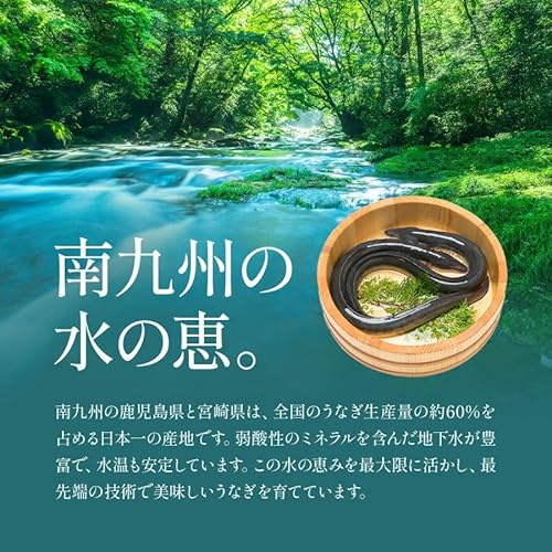 越前かに職人 甲羅組 南九州ブランドうなぎ蒲焼き 特大サイズ の商品画像 5