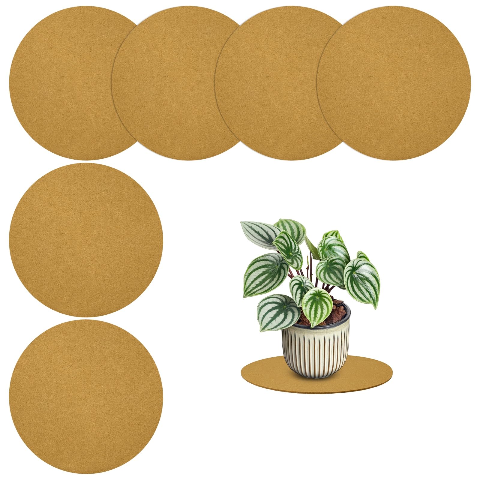 M METERXITY 6-Pack Plant Coasters Mat Reversible, 10 Inch Felt Round Absorbent Fabric Plant Pot Saucers for Gardening/Indoor/Outdoor Pots, Waterproof Coaster Mats [Brown]
