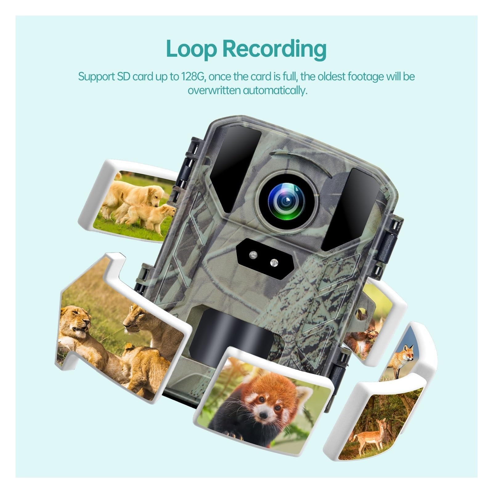 Kamera Obserwacji Dzikiej Przyrody 4K MiNi800 Mini Kamera Myśliwska Na Dziką Przyrodę 50MP Keep Way Obserwacyjna Wodoodporna HD Night Vision Fotopułapka Podczerwień Z Samochodem 256GB(With 32GB card)