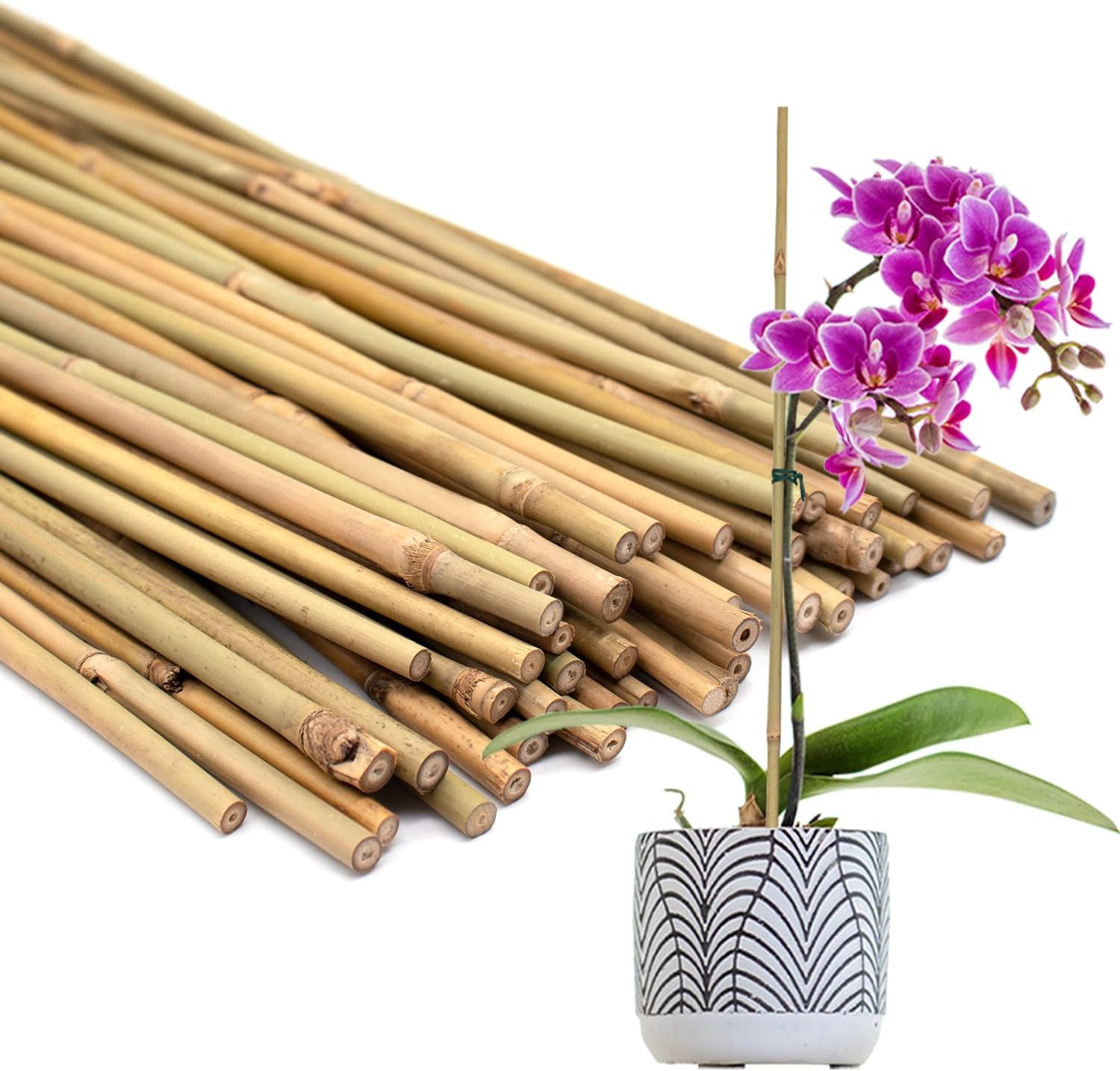 50Pcs Plant Stakes,POLIUMB 17.9 Inch Natural Bamboo Stakes，Garden Stakes for Indoor and Outdoor Plants,Poles Sticks for Tomatoes,Beans,Flowers,Trees Potted and Climbing Plants