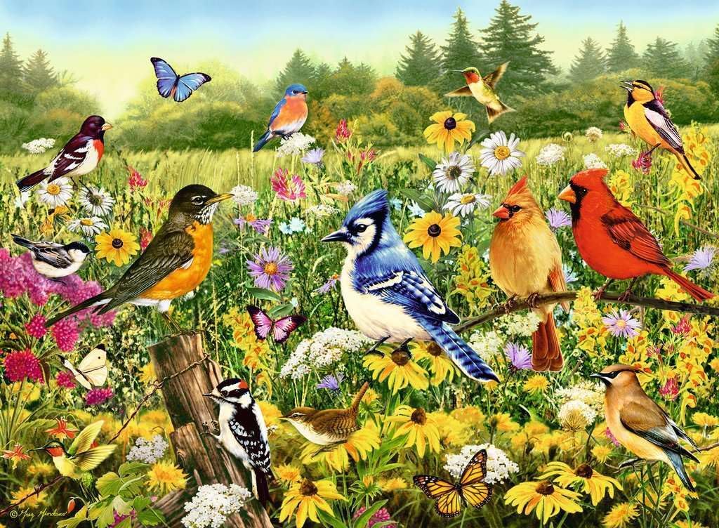 Ravensburger 16988 Birds in The Meadow 500 Piece Jigsaw Puzzle for Adults & Kids Age 10 Years Up, Multicolour