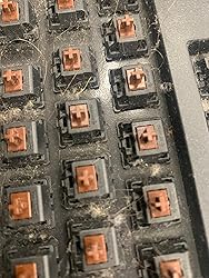 お客様イメージ