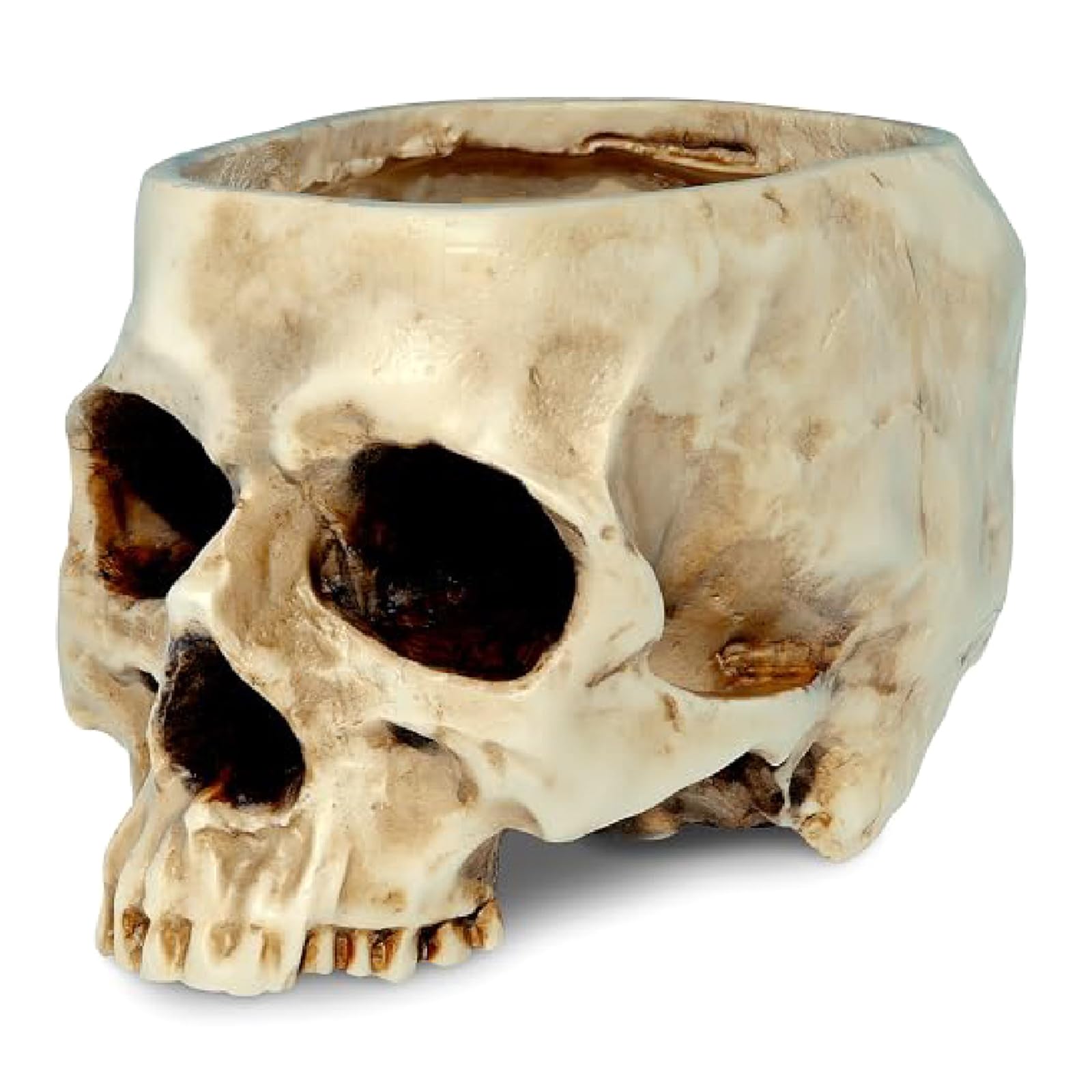 Kaeltsyn Creative Bronze Finish Skull Planter Serves As a Space Saving Keeper for Keys and Tiny Belongings Vintage Fashion Bone Flowerpot
