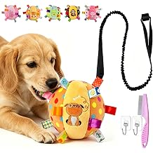 Colorful Squeaky Hanging Dog Training Toy with 60 inch Elastic Ropes Soft, 6-Inch Soft Stuffed Ball with Cotton Material and Bell Built-in, Squeaky Hanging Dog Toy, Durable Pet Toy Dog