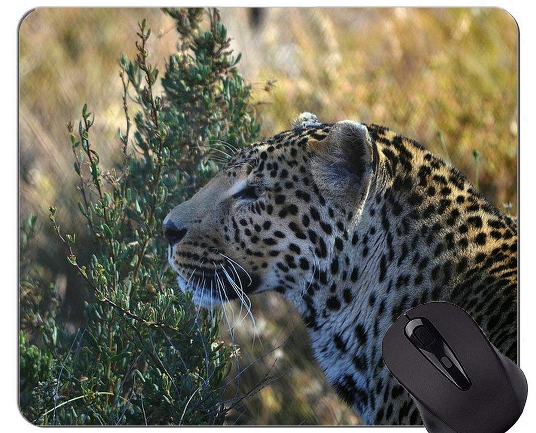 Yanteng Alfombrillas Para Ratón Personalizadas, Leopardo Gato Cazador