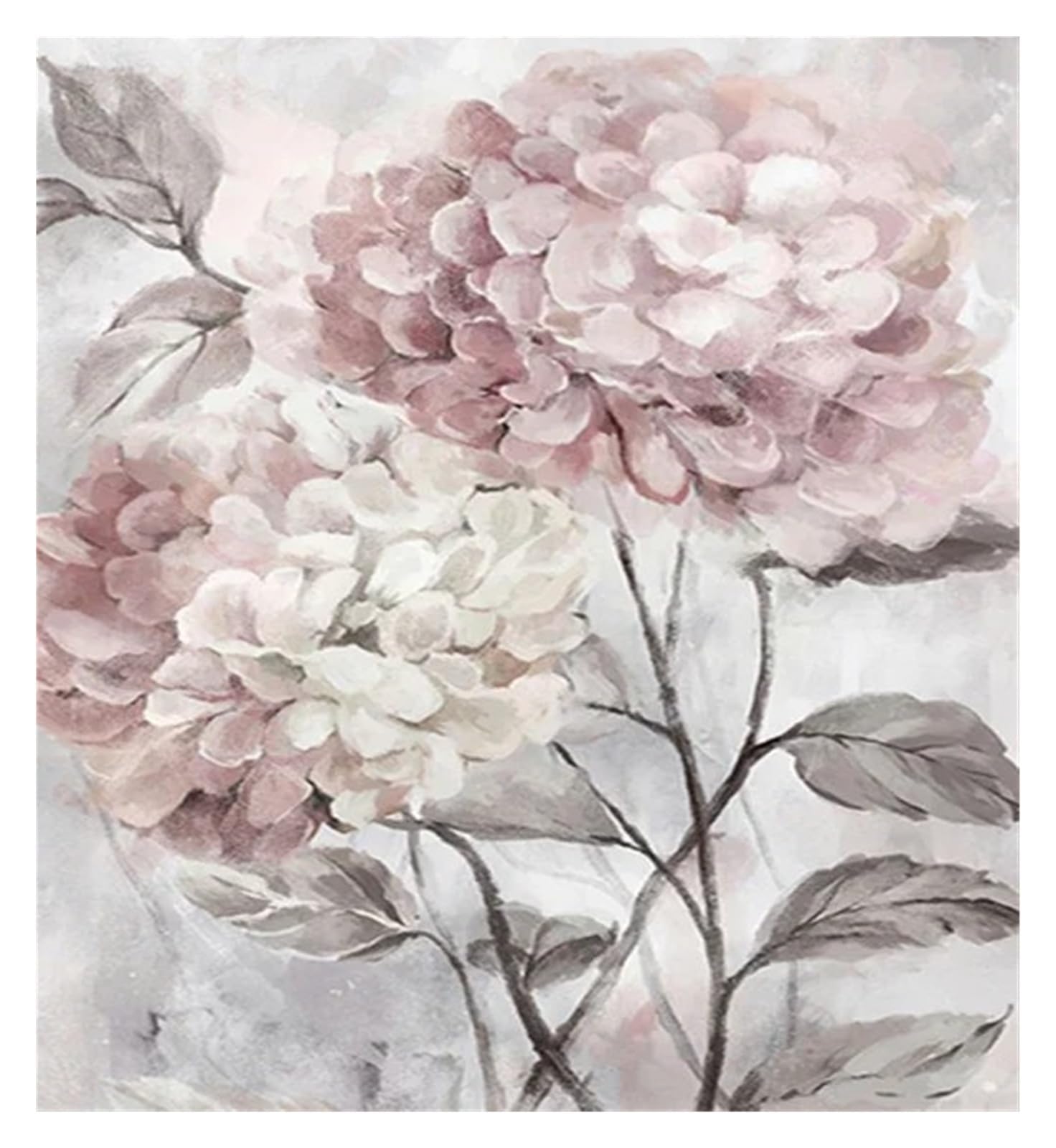 Xenite P Wall Art Canvas Rints Ink Eony Flowers Aintings Osters Ot Culture Lants Osters And Rints Nordic Astoral Canvas Wall Art Decor Icture Room(,50X70cm)