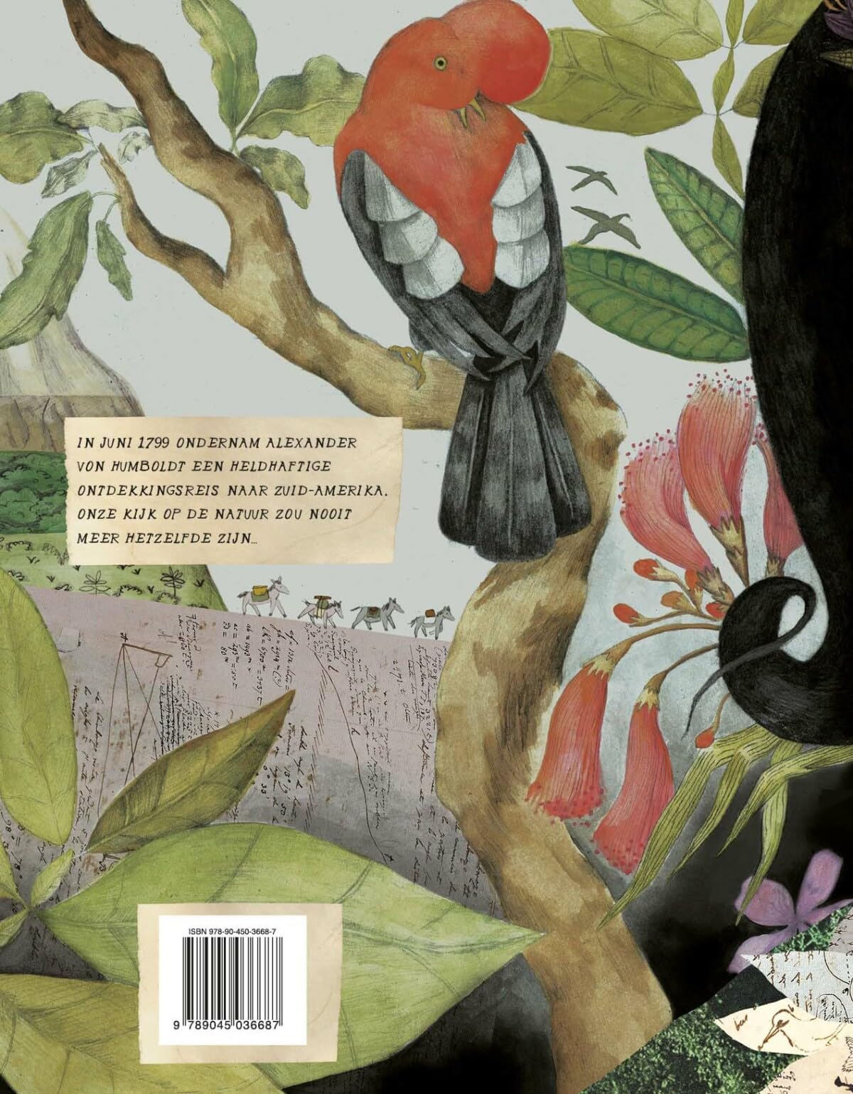 De avonturen van Alexander von Humboldt: graphic novel