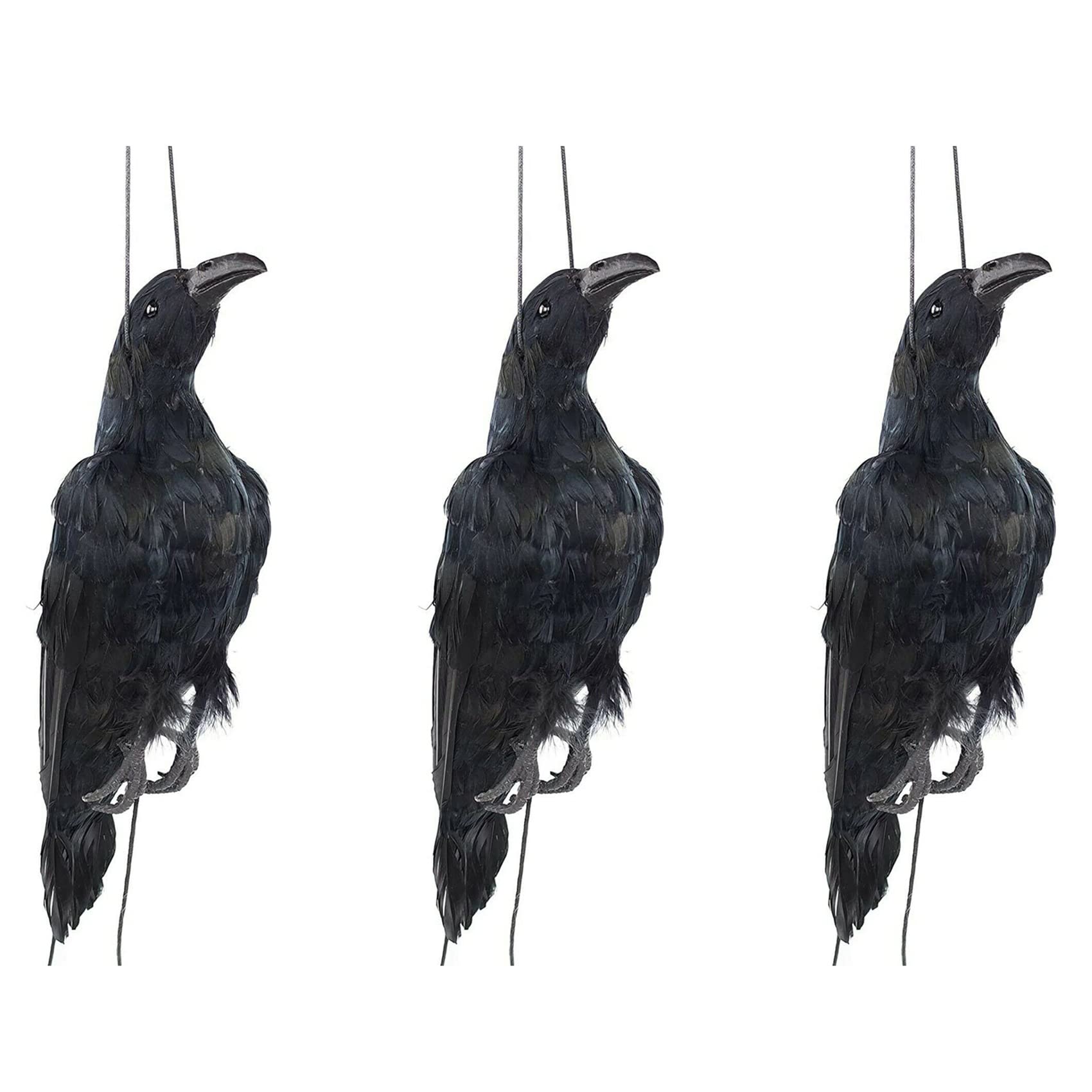Leurre réaliste corbeau mort oiseau effaroucheur plumes noires extra 3X