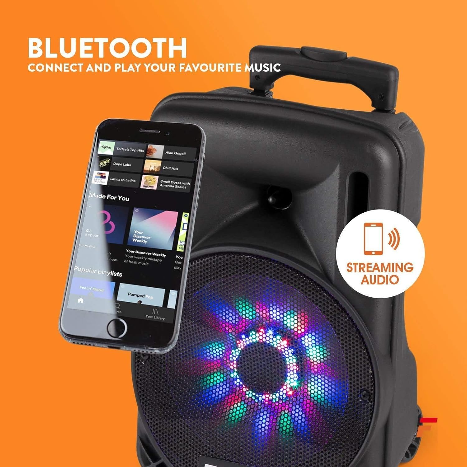 Rear control panel of the Fenton FT10LED speaker showing various knobs, buttons, and ports