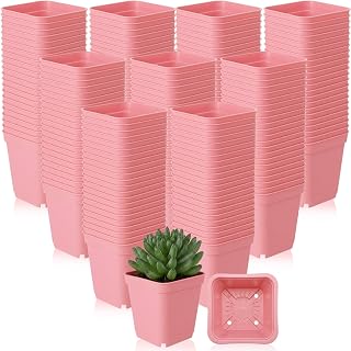 Yaomiao 200 Pack 3 Inch Pink Nursery Pot Square Flower Pots Plastic Plant Succulent Planter Seed Starting Pots with Drainage Holes for Garden Office Balcony Decor Indoor Outdoor Plant Seedling