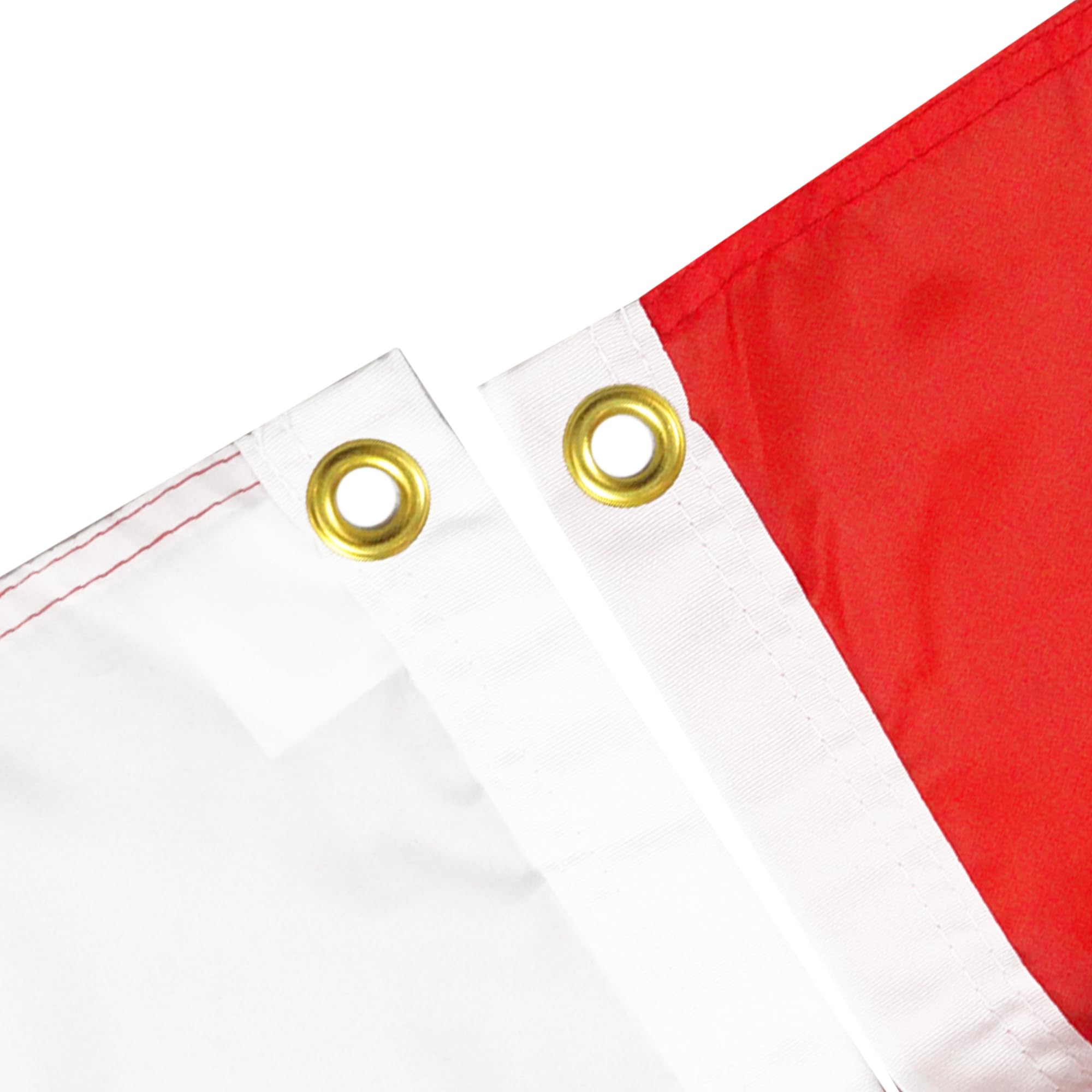 AZ FLAG, Castile And Leon Flag, 2x3 Ft, 100D Polyester Spanish Region Of Castilla Y Leon Banner with Two Metal Grommets - Image 2