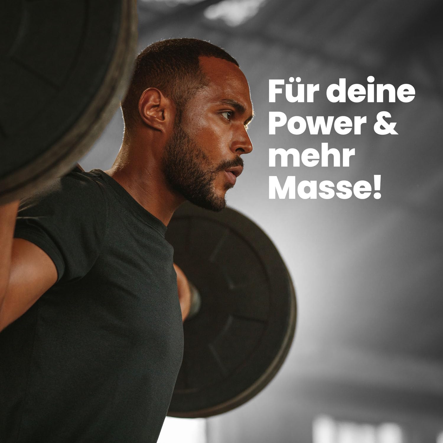 Mammut Nutrition Crash Weight Gainer Pulver Chocolate – 1400 g – 518 kcal/Shake für Gewichtszunahme – 80% Kohlenhydrate – 4-Komponenten Protein – Ideal für Ausdauer- und Leistungssportler