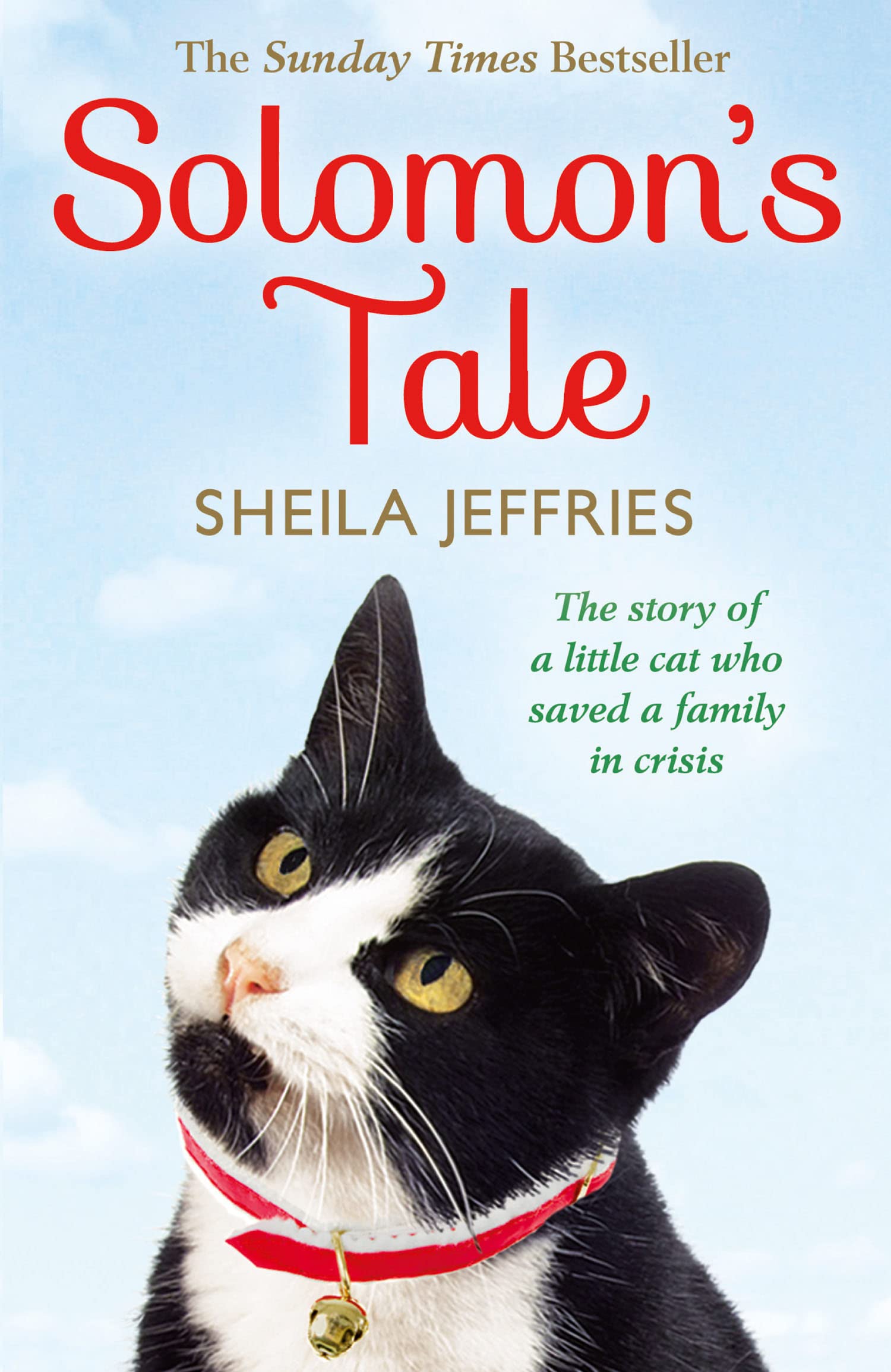 SOLOMON’S TALE: A Heartwarming Contemporary Novel of Family and a Faithful Friend