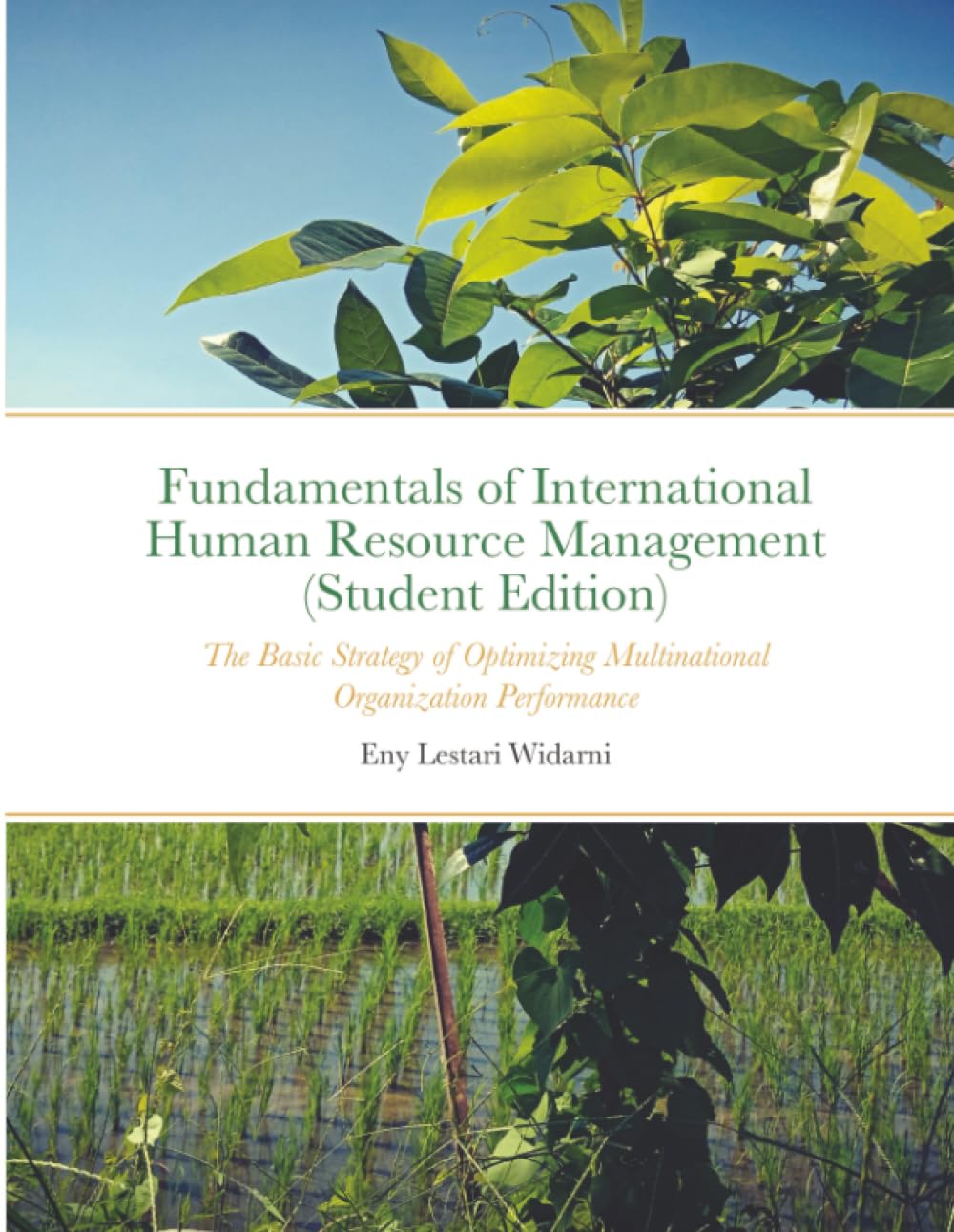 Fundamentals of International Human Resource Management (Student Edition): The Basic Strategy of Optimizing Multinational Organization Performance