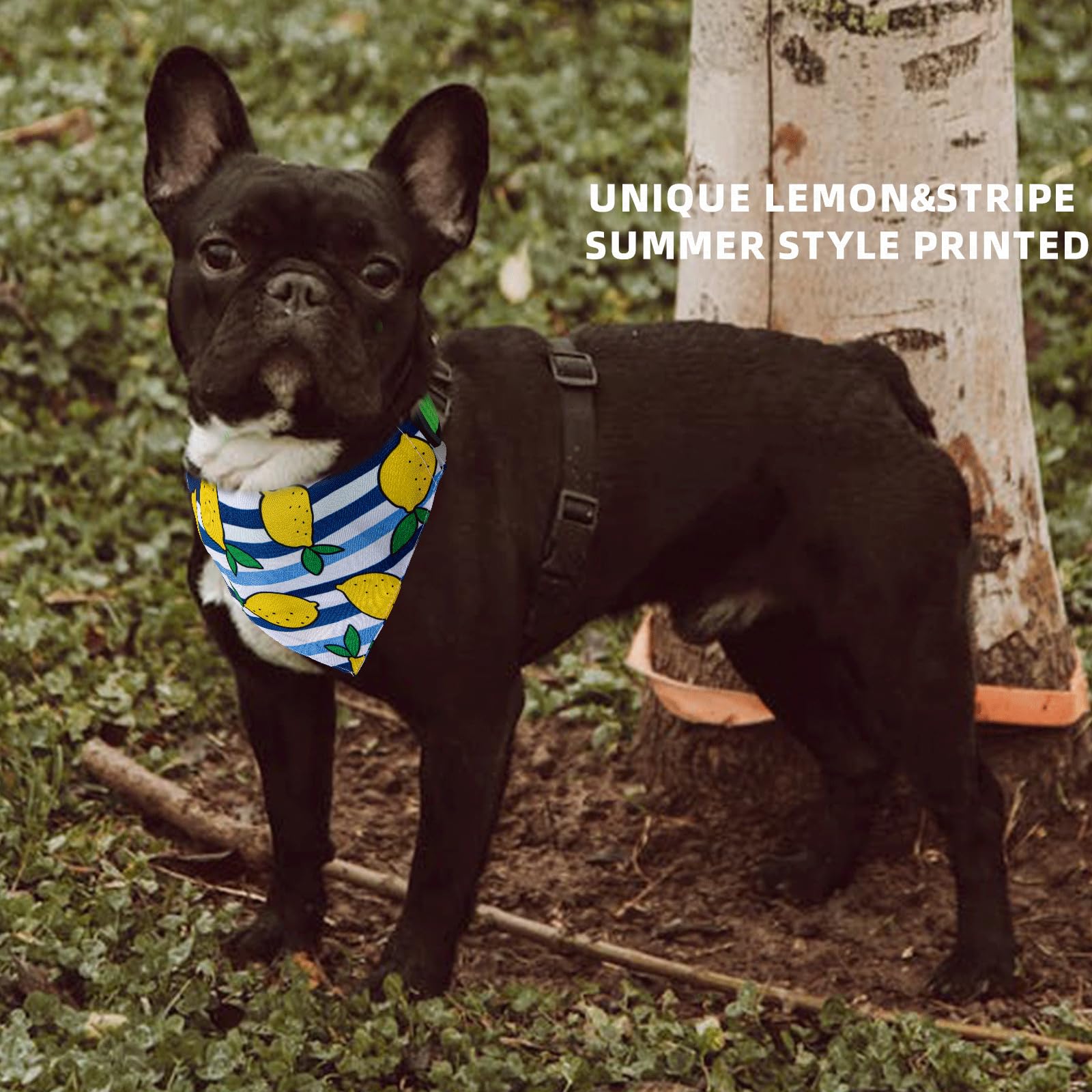 ICEMOOD Novelty Printed Dog Bandana Slip Over Collar - Adjustable Cute Puppy Pet Scarf, Mango Stripe, Medium - Image 3