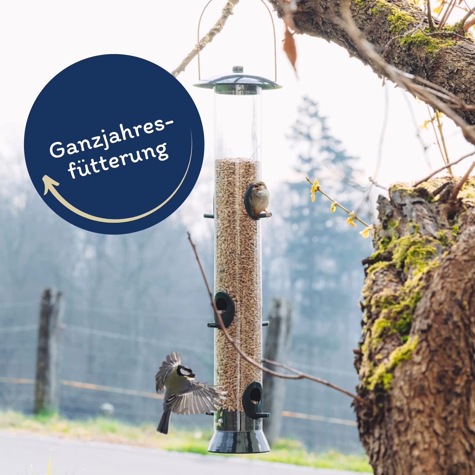 Lyra Pet® | 25 kg Sonnenblumenkerne Geschält | Vogelfutter für das Ganze Jahr | Premium Wildvogelfutter | Idealer Energiespender für Sommer und Winter | Vogelstreufutter für Wildvögel | Ohne Schale