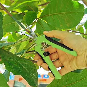 Pruning Shears, Pruning Scissors, Garden Snips, Pruners, Trimming Scissors, for Fruit Branch Bonsai Flower Plants(Green)