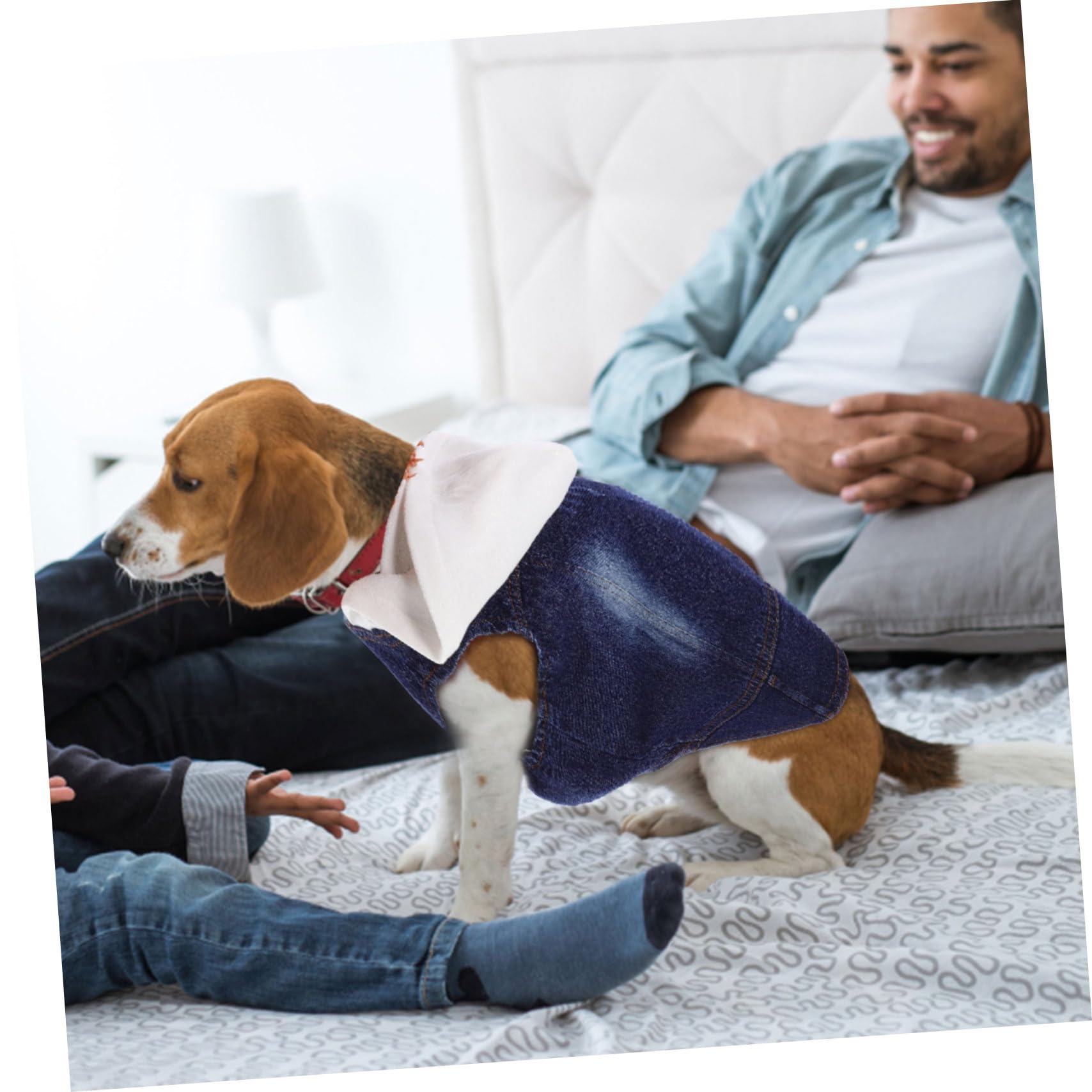 FOMIYES Lot De 3 Gilets en Jean pour Chien Et Chat Vêtements pour Animaux De Compagnie Taille XXL Bonnet Tricoté