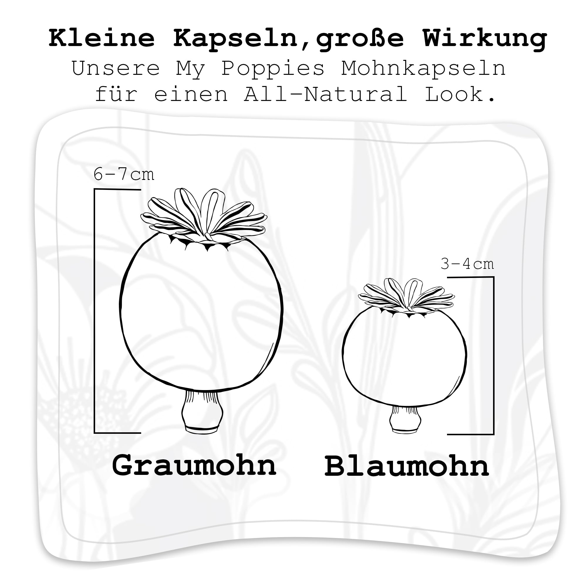Mohnkapseln, Poppy Pods | Klein & ohne Stiel | Getrocknet | Bastelzubehör & Deko (Große Mohnkapseln, 250g)