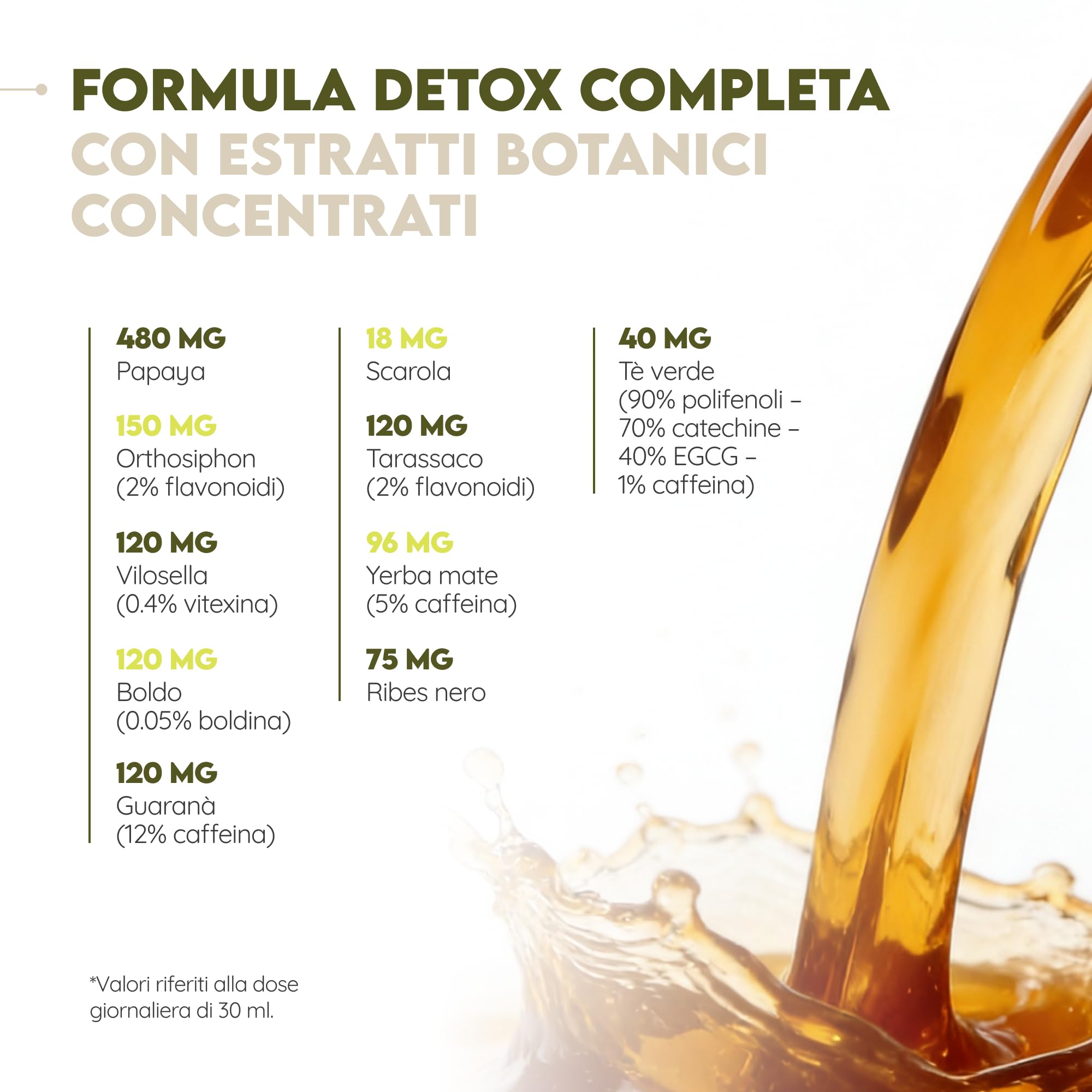 N2 Natural Nutrition. DETOX, Formula liquida Tè Verde, Tarassaco, Guaranà, Papaya, 500 ml. Con Tè di Giava, Mate, Ribes Nero, Rabarbaro. VEGANO. CE.