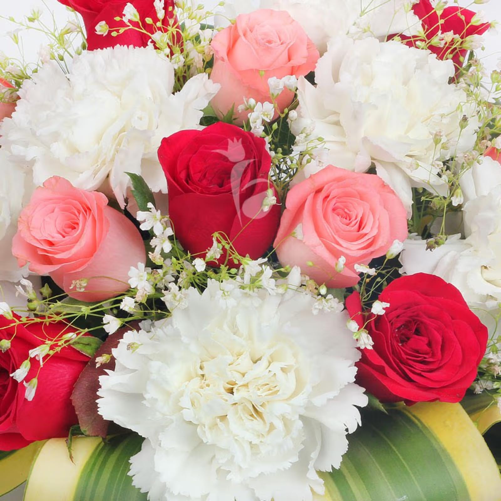 Premium Rose & Carnation Bouquet - Same Day Delivery -2