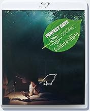 PERFECT DAYS 通常版【2枚組】 [Blu-ray]