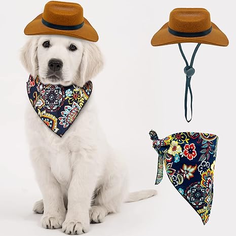 dog cowboy hat