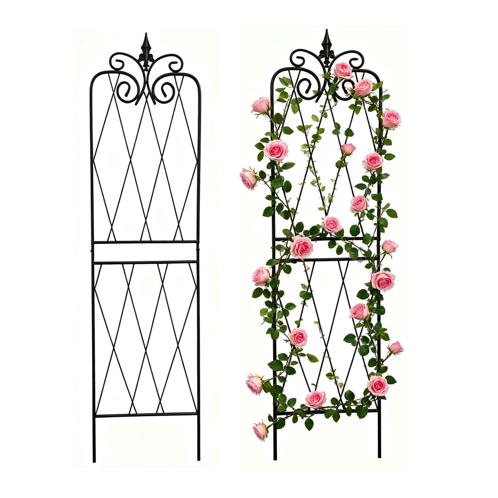 SCENDOR 59-Inch Butterfly Pattern Garden Trellis