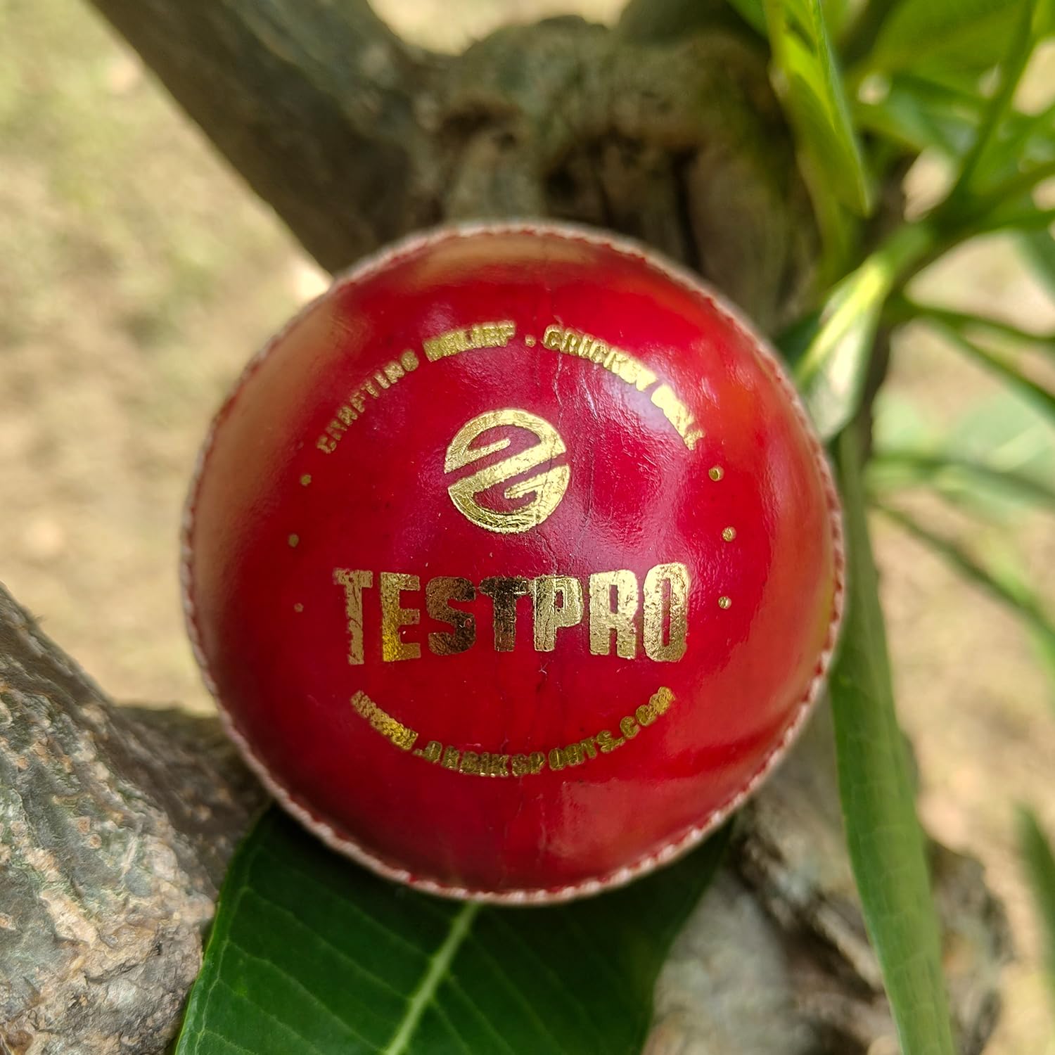 ORBIK Testpro‑50 Leather Cricket Ball – Premium Hand Stitched, Long Lasting, Suitable for Club Matches & Professional Training-image-42