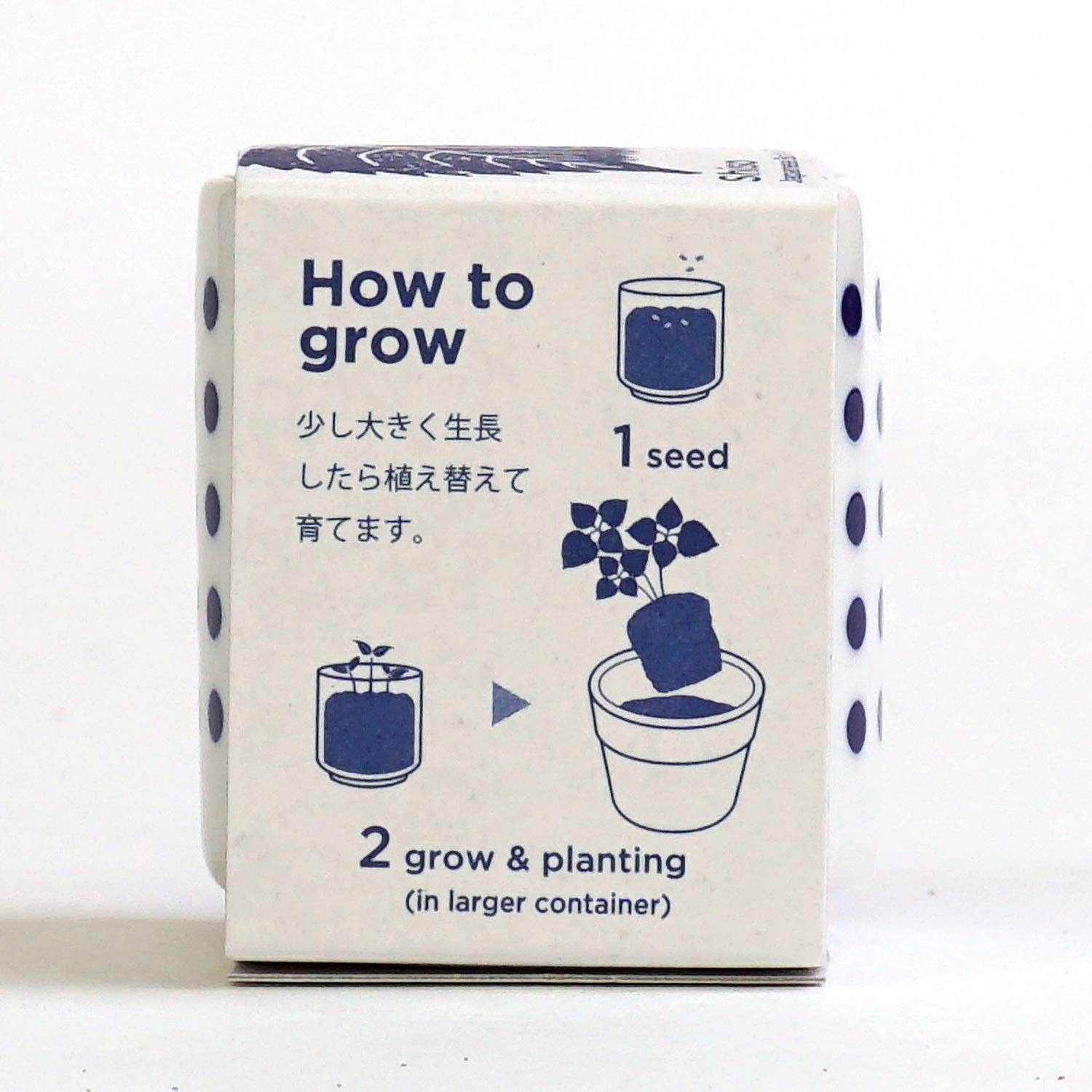 Amazon｜聖新陶芸 家庭菜園 簡単 栽培キット シソ 室内 香草 野菜 栽培