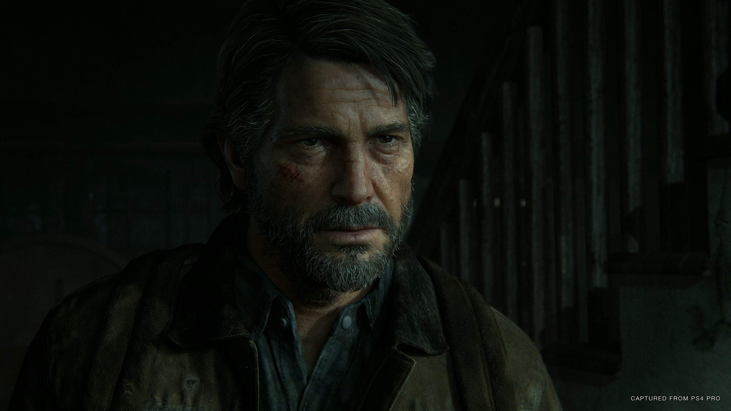 The Last of Us 2 - Special Edition - PlayStation 4