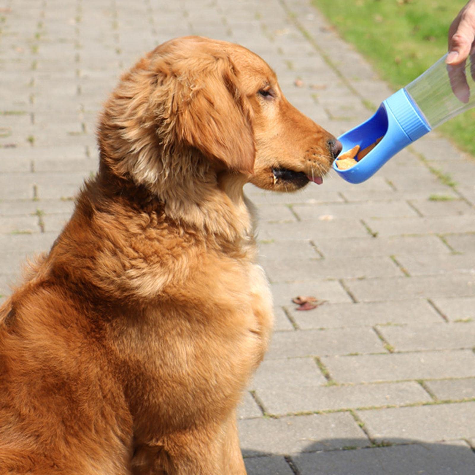 Curver Voedselcontainer hond met wielen 35 L