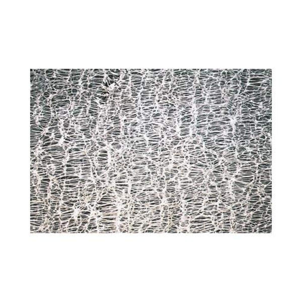 Advantec MFS T020A293D Hydrophobic Membrane Filter, Unsupported, 293 mm Diameter (Pack of 10)