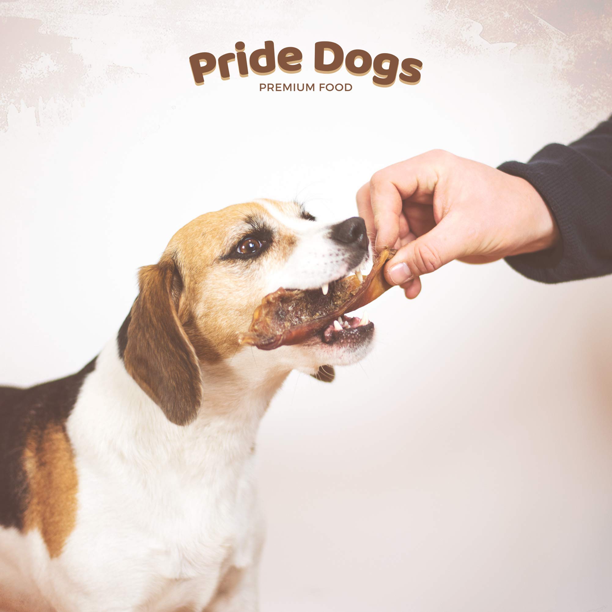 PrideDogs - Cuoio capelluto di bovini piccolo, 8-15 cm, 1 kg, per cani