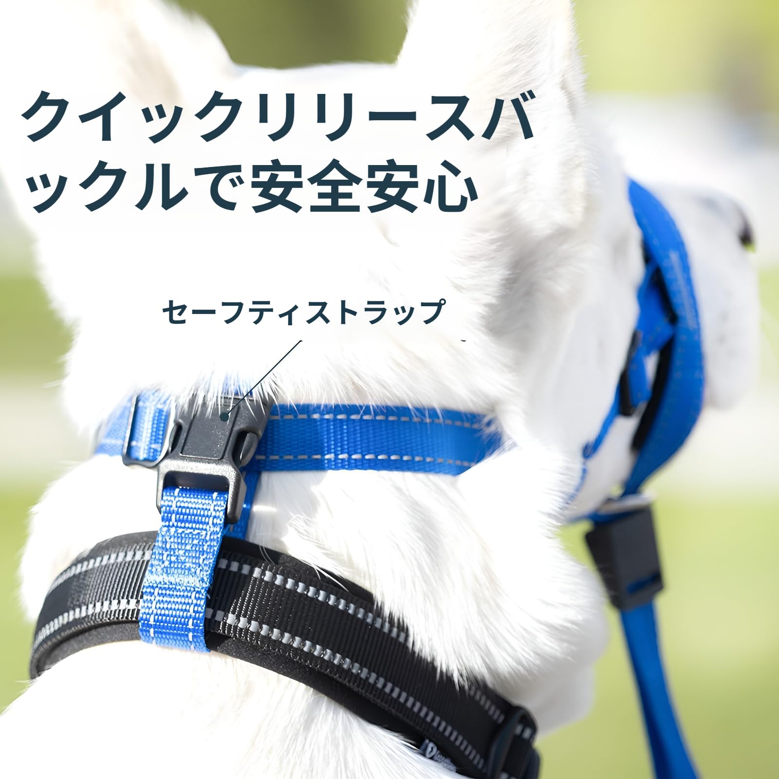Amazon | [Arklove]犬用口輪 ジェントルリーダー フリー設計 吠え防止