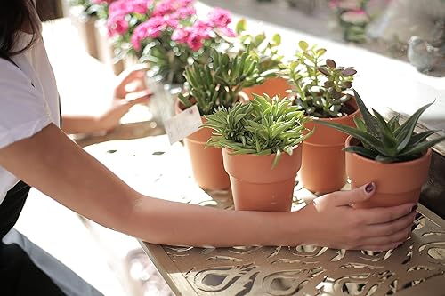 Miniatura 5 de Mezcla para macetas de plantas de interior de 4 cuartos de galón, fertilizada, suelo de perlita para todo tipo de plantas de interior y plantas